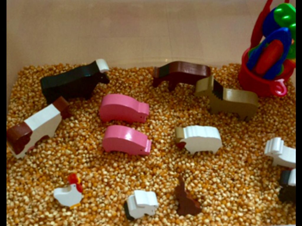 farm-sensory-box-special-needs-and-sensory-play-ideas